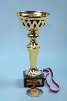 2 МЕСТО Кубок (Приморская осень-2012) среди юношей 2004-2005 г.р.